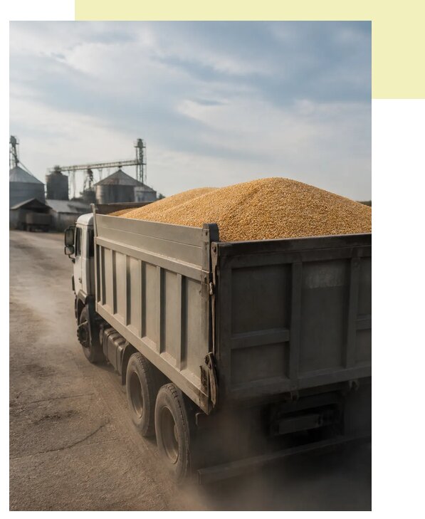 Перевозка сельхозпродукции навалом в Ростов по цене от 3079 р. | Агросервис-Рсв
