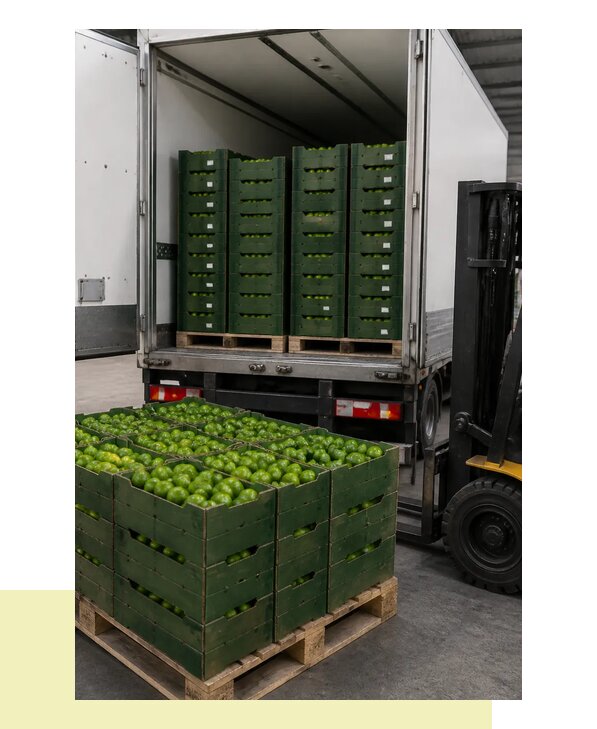 Перевозка лаймов в Ростов с соблюдением температурного режима